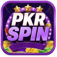 pkrspin icon